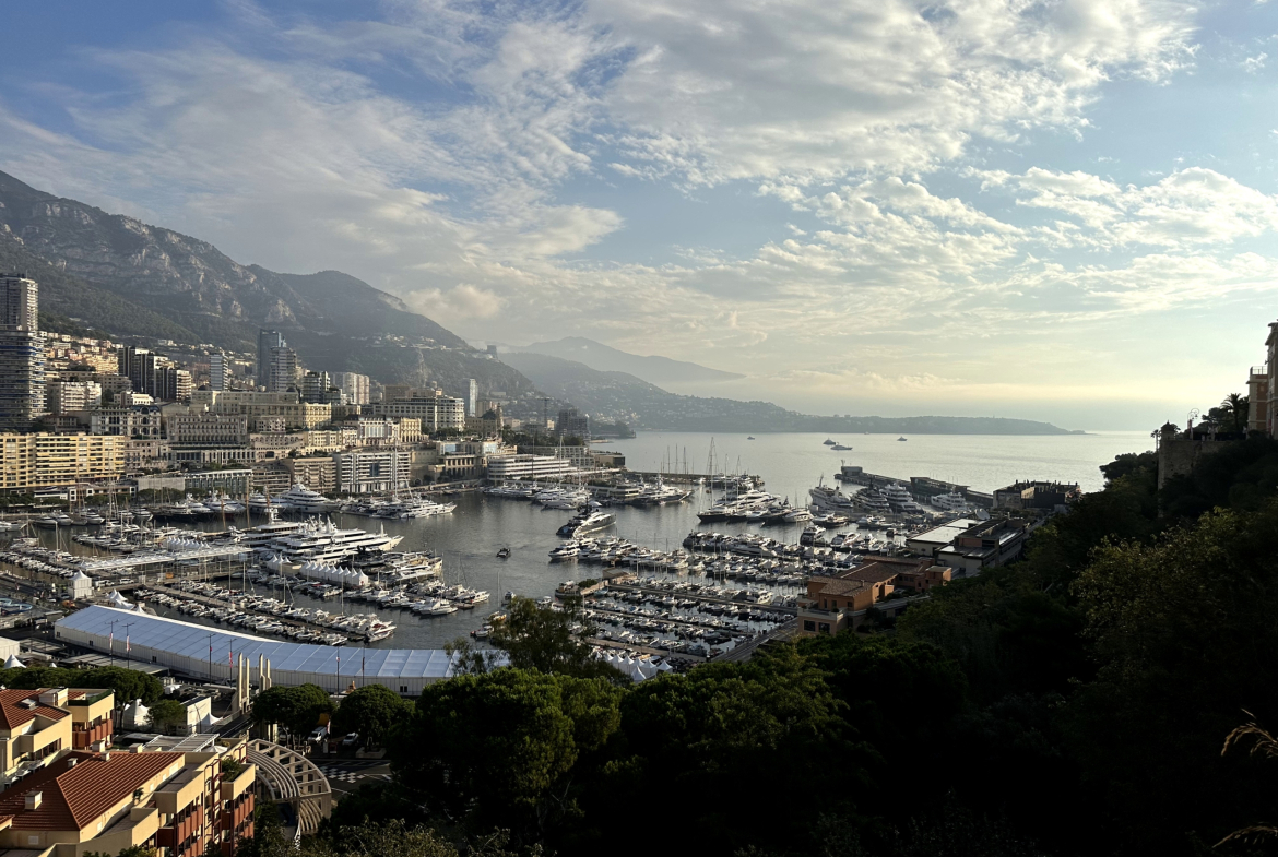 A building with great potential located on the port of the prestigious principality of Monaco.