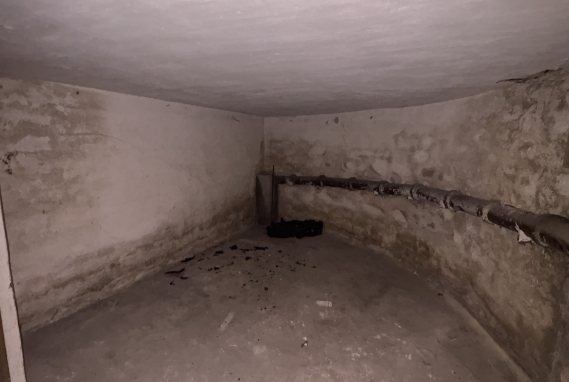 Spacious cellar available for rent