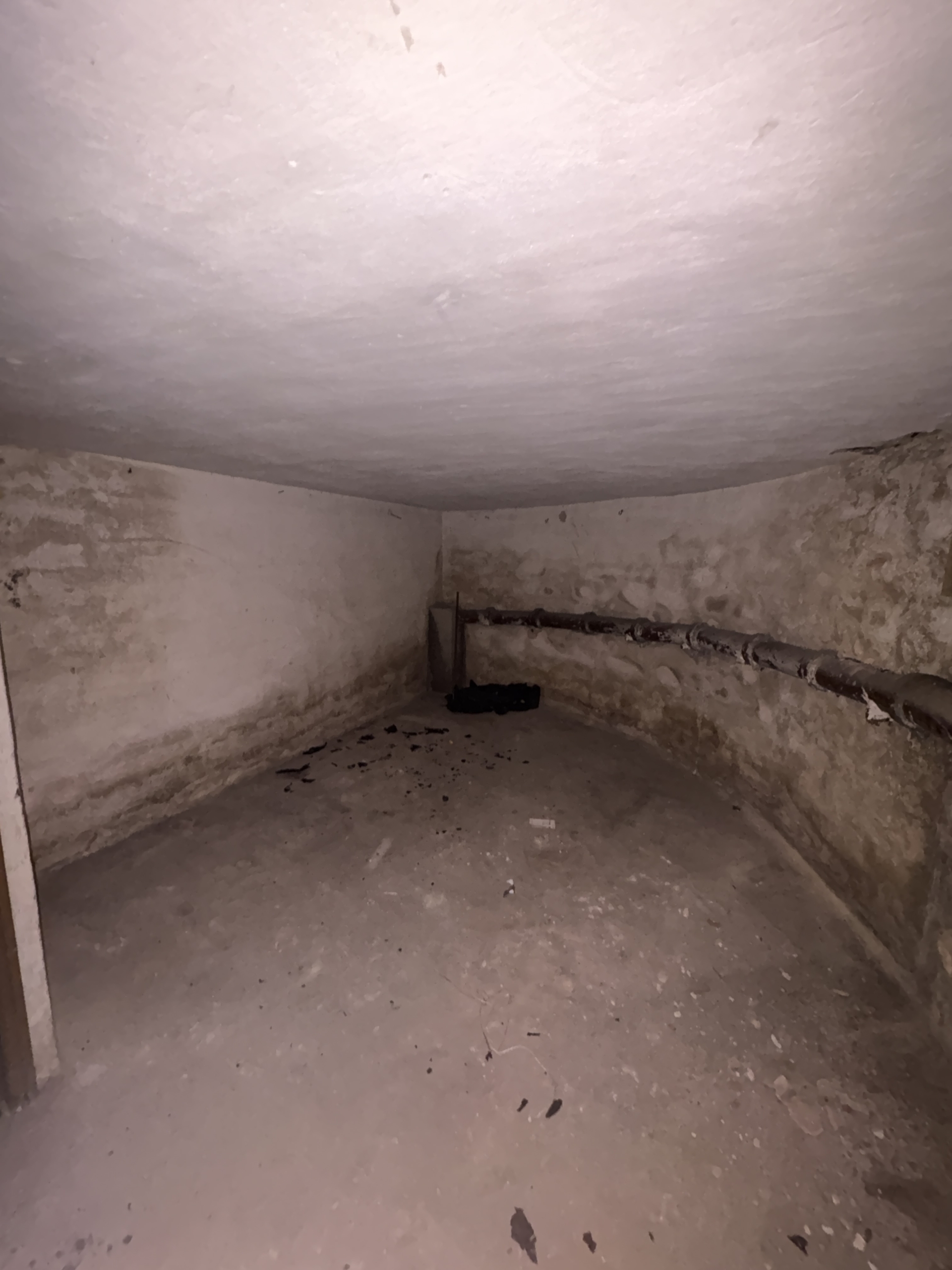 img-1925-1752677808-1-scaled-1 Spacious cellar available for rent