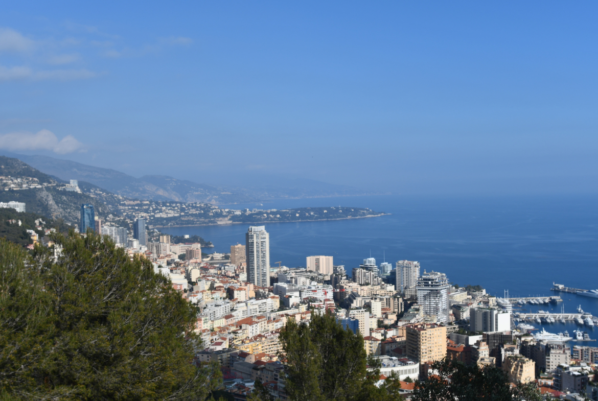 Commercial premises with display windows – Monte-Carlo