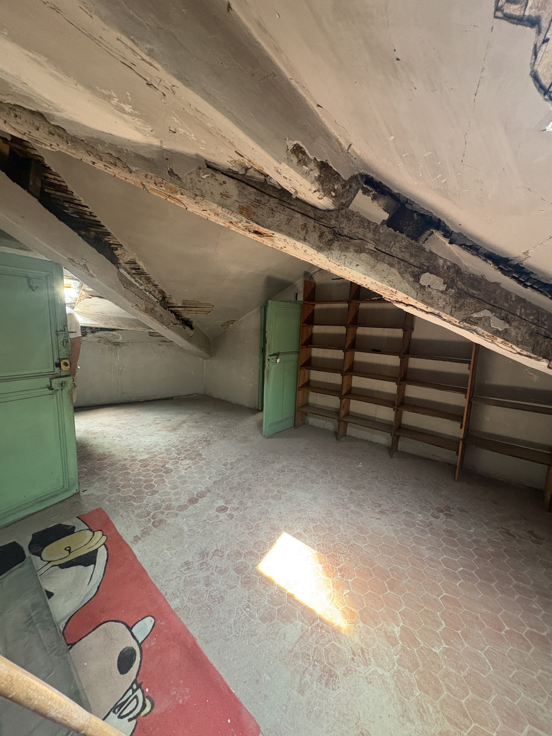 img-5241-1783522570-scaled-1 Attic apartment in need of renovation with great potential in the heart of La Condamine